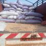 Soja 1000 tonnes 
