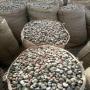 raw cashew nuts 
