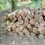 partenaires acheteurs bois de teck 