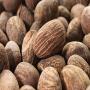 Achat de 6500 tonnes de noix de karit&eacute; 