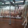 viande halal sans étourdissement
