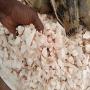 fruit de baobab , et poudre de baobab