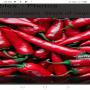recherche de partenaires pour achat de piments 