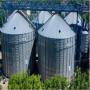 animal feed for poultry