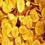 banana chips (dried fruit).