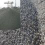 clinker d'algerie 