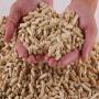 Disponible pellet de bois 400 tonne par mois