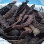 vente de caroube