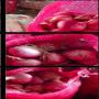 Oignion Rouge / Red fresh Onion