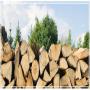 Bois de chauffage / b&ucirc;ches densifi&eacute;es 