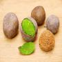 GRAINE DE DETARIUM SENEGALENSE (TALLOW TREE)