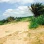TERRAIN EN VENTE 