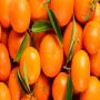 Orange et Mandarine espagnol