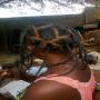 vente des produits naturels pour cheveux