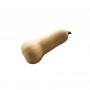 Vends butternut hors calibre