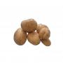 Vends pomme de terre pour transformation