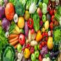 divers+ fruit et légumes bio planter sans engrain