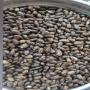 huile de ricin bio et graines de ricin 