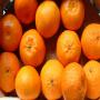 Oranges et Cl&eacute;mentines