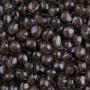 caviar  oeufs d'esturgeons 