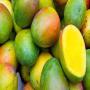 Mangue C&ocirc;te d'Ivoire