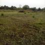 DOMAINES AGRICOLES 