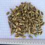 cardamome bio ou conventionnel 