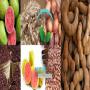 pulpes de baobab/fruits de miracles&fruits exotiq