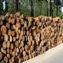 Vente de bois de chauffage 