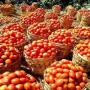 fruit et legumes