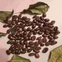 Cafe robusta , Arabica, golden Cacao, haricot 