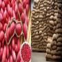 vente de graines d'arachide abidjan