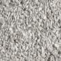 GRAINES DE COTONS /cotton seeds