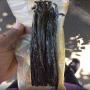 vanille de madagascar tk noir