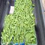 cornichon, tomate