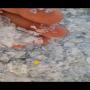 plastique recyclr pet broye