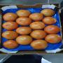 Poivron calif, Tomate, Piment origine Maroc