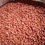 vente arachide senegal