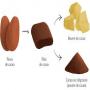 fèves de cacao côte d'ivoire & produits dérivés