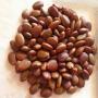 Carob Seeds