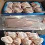 poulet & canard entier congelé 