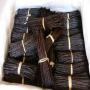 Vanilla beans Exporter from Madagascar 