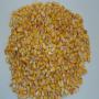 non gmo yellow corn for animal feed