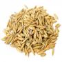 Whole Oats  grains for animal feed