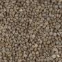 Graines de Sarrasin Bio (Agriculture Biologique)