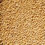 soja bio disponible