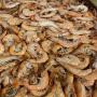 Lot de crevettes enti&egrave;res cuites surgel&eacute;es d&eacute;clas