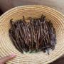 vanille de madagascar 