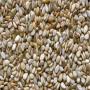 Urgent : Vente Soja Blanc Burkina