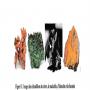 hematite,  cuivre,  limonite,  malachite